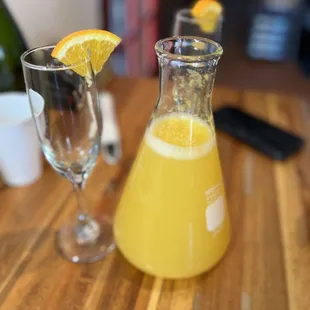 Mimosa pitcher
