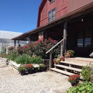 Nice cool day for apples