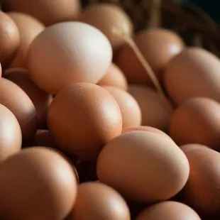 a basket of eggs
