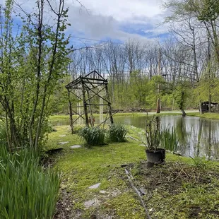 Little structure by the pond