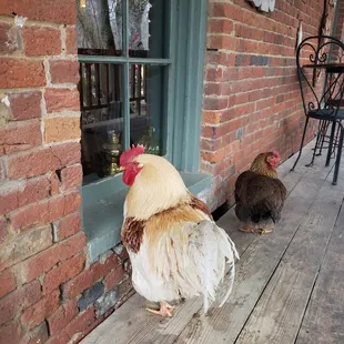 outside, dessert