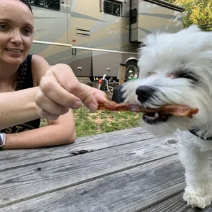 We mentioned our dog, the owner ran outside with a side of bacon!