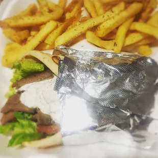 Lamb Gyro and seasoned fries.