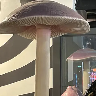 a woman looking at a mushroom