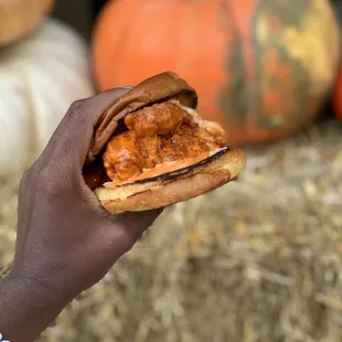 Buffalo Chicken Sandwich