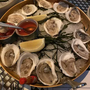 New England Oysters Dozen