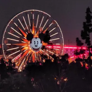 California Adventure Ferris Wheel