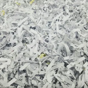 Close up of our Shredded Paper - Can you read anything?