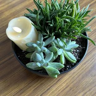 Real plants and a battery operated candle on every table!!