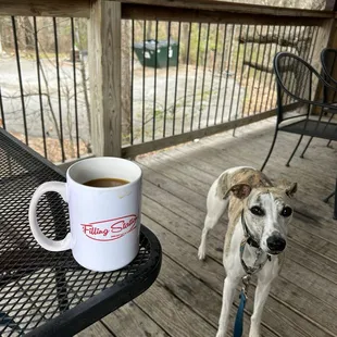 Dog friendly patio was perfect for us! They even brought out water and treats for the dogs.