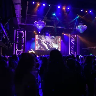 a crowd of people at a concert