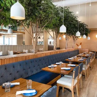 Interior dining, tables, seating.