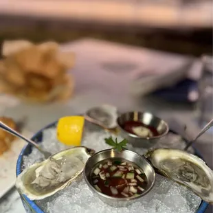 East coast oysters