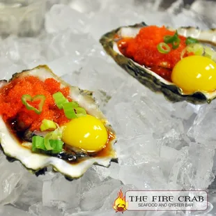 Oyster Shooters