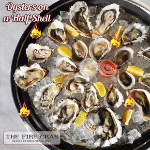 Raw Oysters 4-6 varieties always in stock