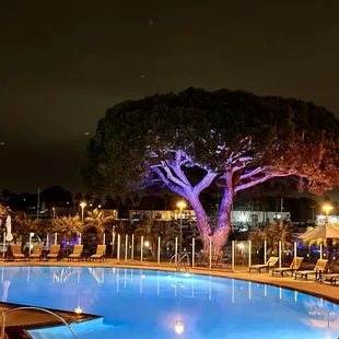 View from the outdoor patio