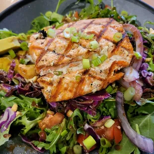 Grilled Salmon Salad, aka Firehall Salad, $17 - 1 Stars