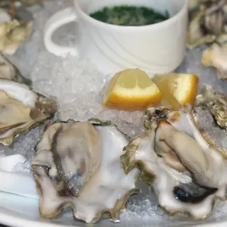 OYSTERS*