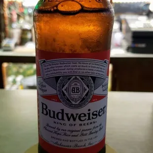 a bottle of budweiser beer