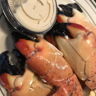 Stone crab claws