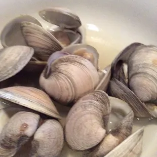Clams