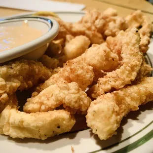 Fried Calamari