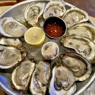 Oysters on the Half Shell