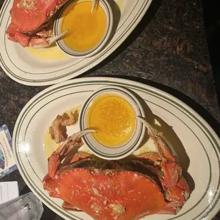 Dungeness Crab