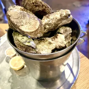 Steamed Oysters