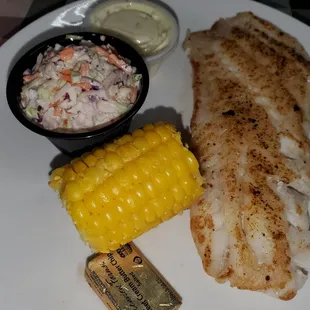 Grilled Grouper