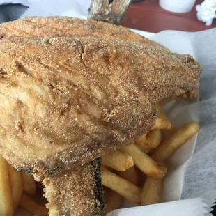 Fried Fish and Fries