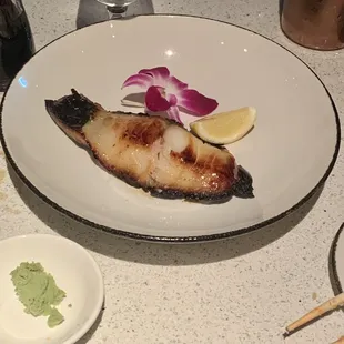 Miso Cod