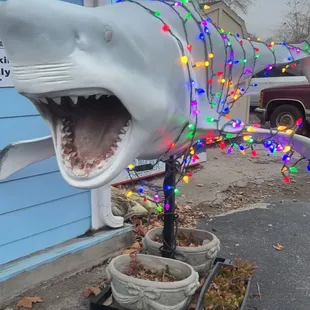 a fake shark with its mouth open