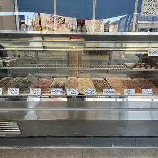 a variety of fish in a display case