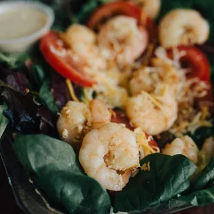 Grilled Shrimp Salad