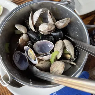 Bucket of Clams