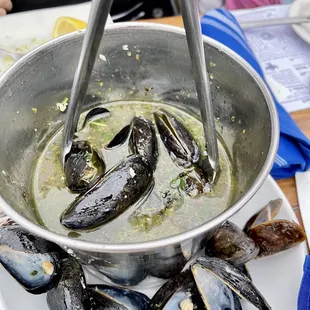 Bucket of Mussels
