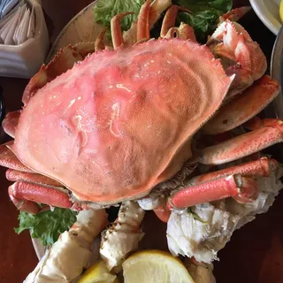 Dungeness Crab