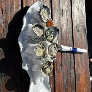 Oysters
