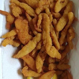 Clam strips