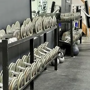 Free weights at The Fit Spot