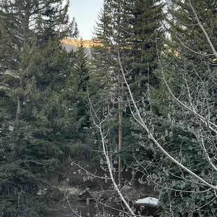 View from the windows