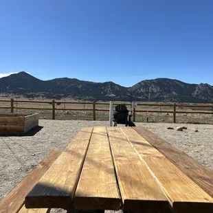 View from patio table