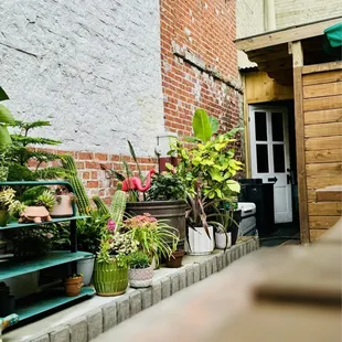 Back patio