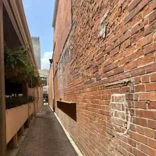 Alley entrance for the fur babies