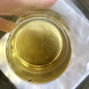 Dead bug in beer, nasty residue floating in the bottom