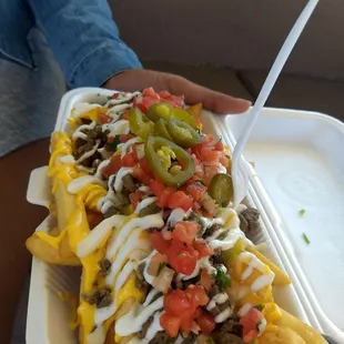 Loaded carne asada fries