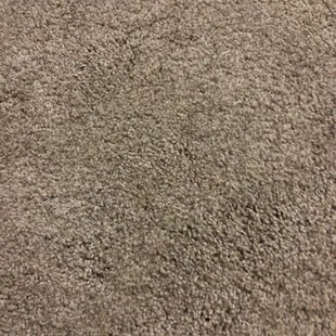 Posh111 carpet