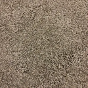 a closeup of a carpet