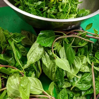 Chimichurri